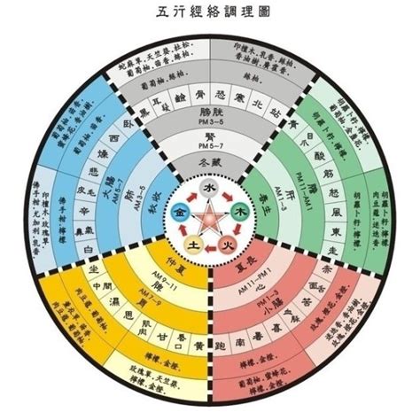 山醫命卜相|五术（仙、医、命、卜、相的合称）